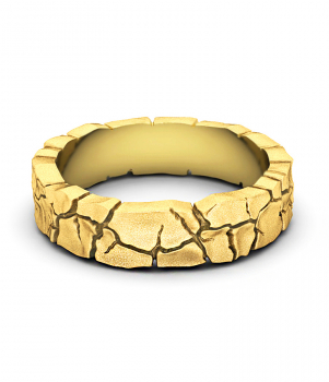 Тематическое кольцо "Земля" (Мод. 519)